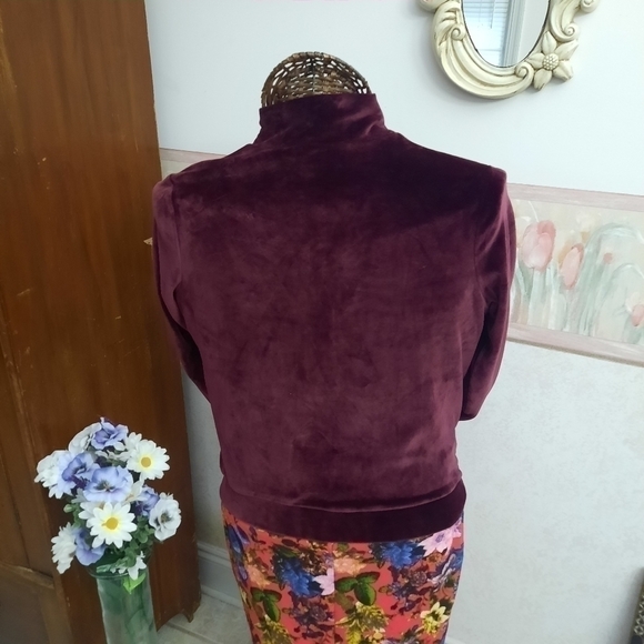 STRETCHY Athletic jacket soft velour zip-up  with pockets--waist length! - Picture 6 of 10
